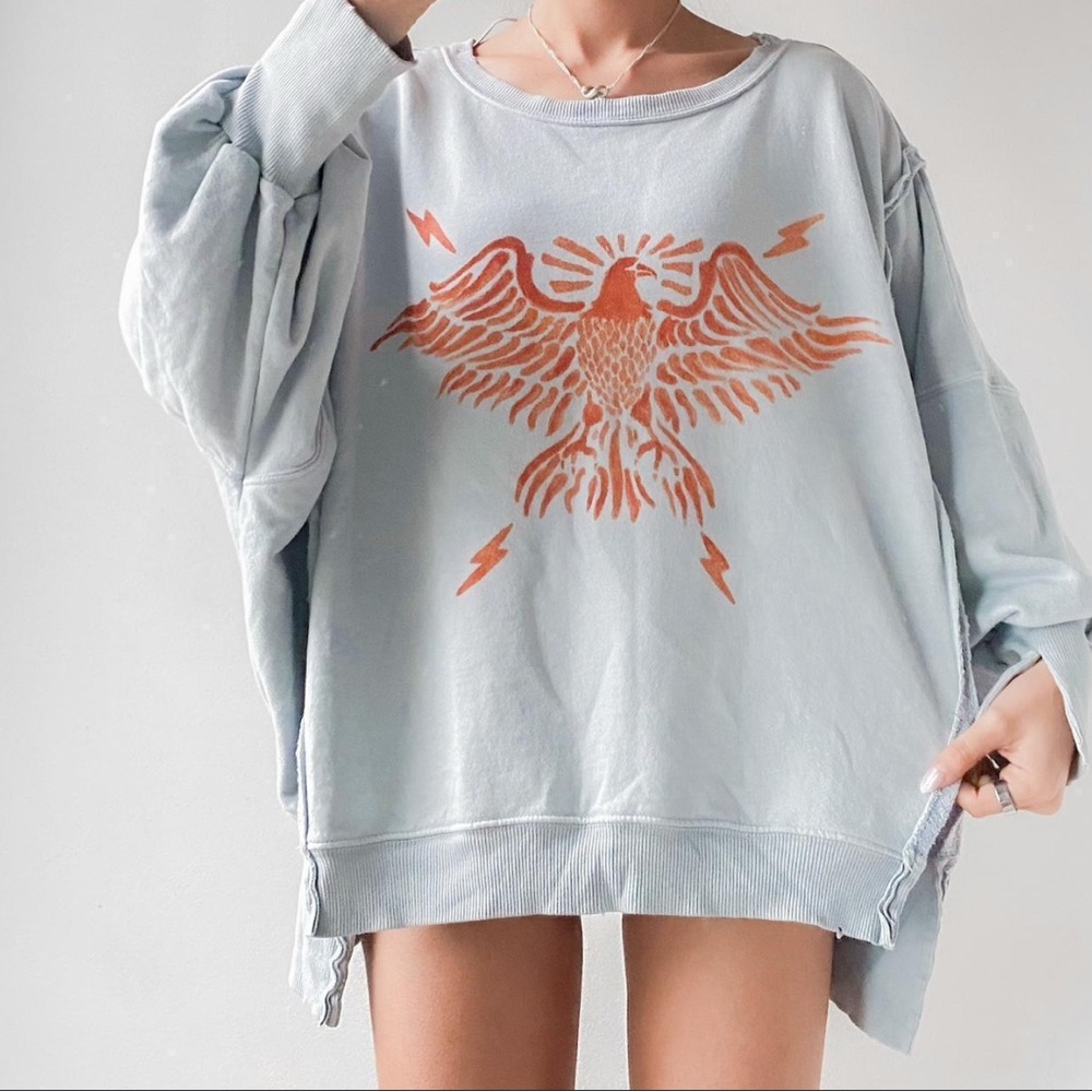 We The Free by Free People Graphic Camden Pullover Zion Eagle Gray & Orange NWOT